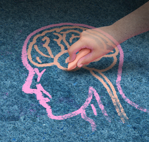 A Chalk drawing of the brain